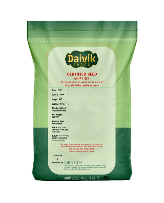 Daivik 8759